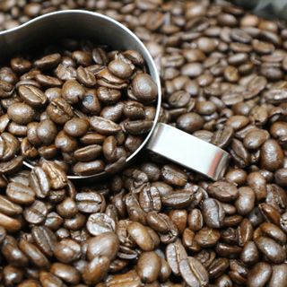 KANG COFFEE cà phê arabica cầu đất đà lạt