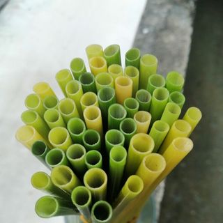 Ống hút cỏ bàng tươi Grass Straw