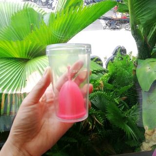 Cốc Kinh Nguyệt Sibell