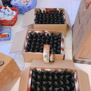 Dầu Gội Xả Chanh
