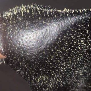 Gel lột mình than hoạt tính