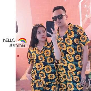 bộ hoa hướng dương