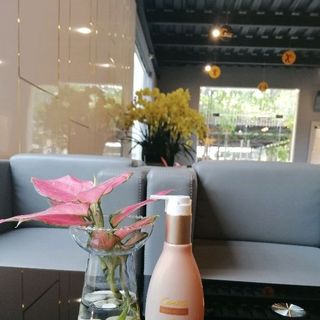 Dung dịch vệ sinh Cenota