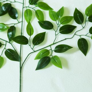 Lá si lá dày tự nhiên như thật - HC708