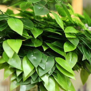 Lá si lá dày tự nhiên như thật - HC708