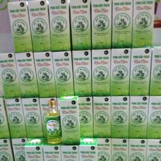 Tinh Dầu Tràm Huế