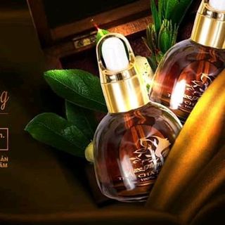 Trị Thâm Ngọc Thiên Hương