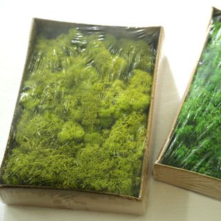 Hộp rêu nhân tạo - R007 600g