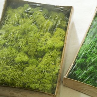 Hộp rêu nhân tạo - R007 600g