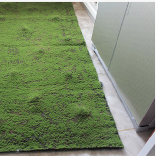 Thảm rêu dày mịn sợi dai chắc - TC153
