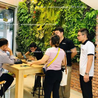 Thảm rêu dày mịn sợi dai chắc - TC153