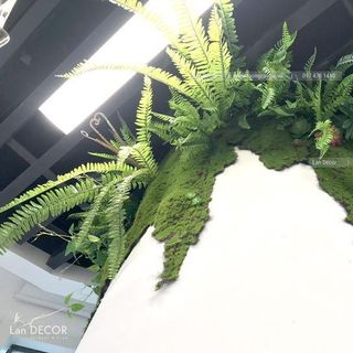 Thảm rêu dày mịn sợi dai chắc - TC153