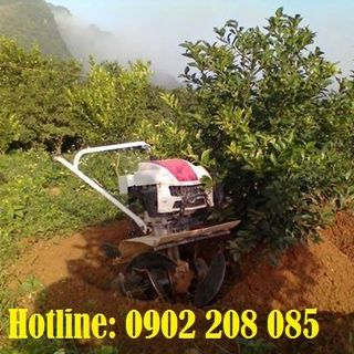 Bán Máy Làm đất Đa Năng Trâu Vàng 1WG4 Chống rung giá cực rẻ