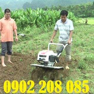 Bán Máy Làm đất Đa Năng Trâu Vàng 1WG4 Chống rung giá cực rẻ