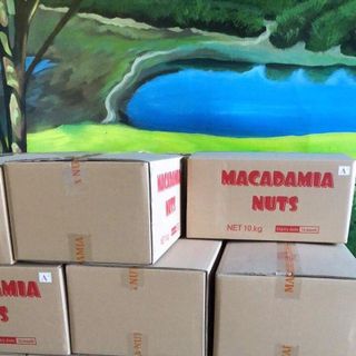 Hạt Macca Úc Nứt Vỏ Cao Cấp Hali Nuts bao 10kg