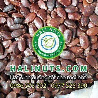 Hạt Dưa Rang Tự Nhiên Không Màu Đặc Biệt HALI NUTS
