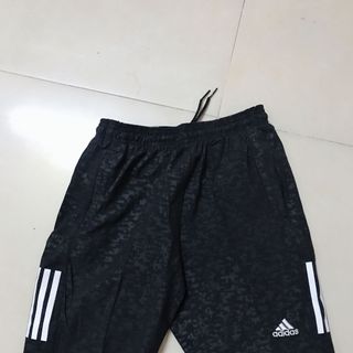 Quần áo thể thao