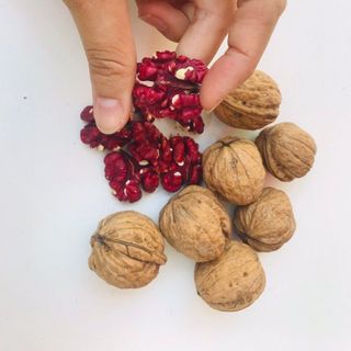 ÓC CHÓ ĐỎ MỸ CAO CẤP CÒN VỎ HALI NUTS bao 25kg