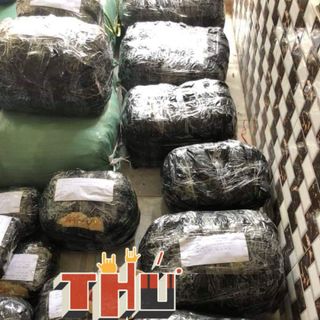 Đầm thanh mai về tiếp