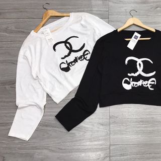 áo phông thun nữ đẹp kiểu hàn quốc dễ thương giá sỉ croptop chan BN 23542