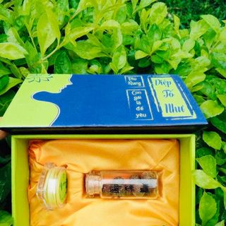 Thuốc chữa bện Phụ khoa - Phụ Khang Tố Như