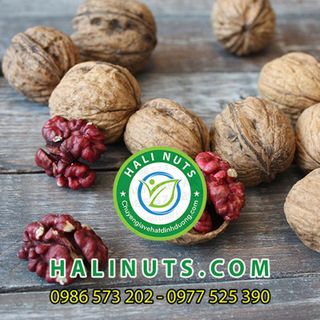 NHÂN ÓC CHÓ ĐỎ MỸ CAO CẤP HALI NUTS - SIÊU DINH DƯỠNG CHO MẸ VÀ BÉ