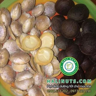 HẠT SACHI RANG MUỐI CAO CẤP HALI NUTS