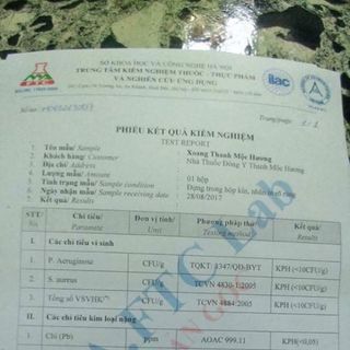 ĐẶC TRỊ VIÊM XOANG - VIÊM MŨI