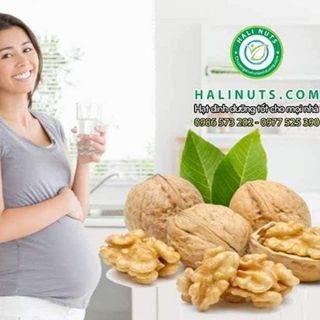 Nhân Óc Chó Vàng Cao Cấp Mỹ Hali Nuts