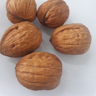 Quả óc chó Chandler cao cấp Hali Nuts bao 20kg