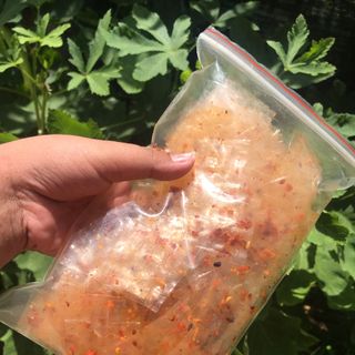Bánh tráng sate tỏi me