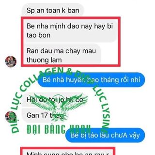 Diệp Lục Collagen nhà phân phối