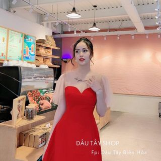 Đầm phối ren thêu bigsize 60-80kg