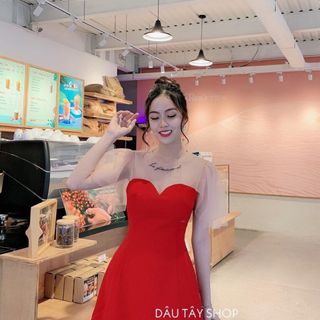 Đầm phối ren thêu bigsize 60-80kg