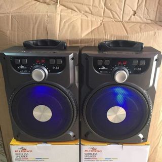 Loa Karaoke P88/P89