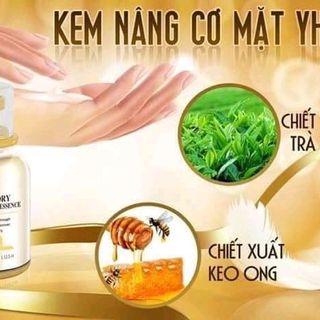 KEM NÂNG CƠ YHL