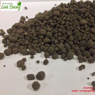 Phân dơi Bat Guano indonesia