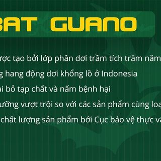 Phân dơi Bat Guano indonesia