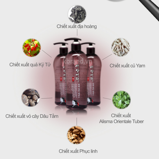 ESSENCE ĐA CHỨC NĂNG DÀNH CHO TÓC TỪ ĐÔNG DƯỢC