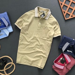 ÁO THUN CÁ SẤU PHỐI CỔ CC