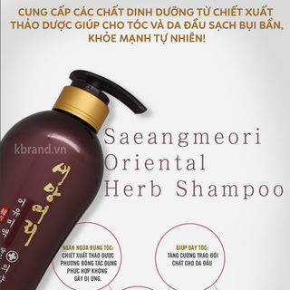 DẦU GỘI THẢO DƯỢC ĐA TÁC ĐỘNG ORIENTAL HERB EOYUMI SHAMPOO
