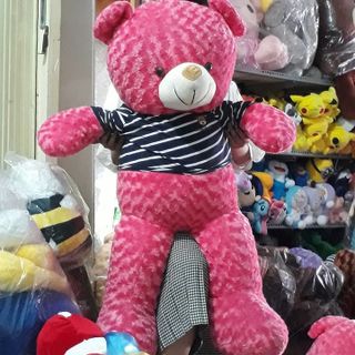 Thú nhồi bông teddy 110cmkho sỉ Cần ThơNguyên Diệp Ô Môn giá sỉ