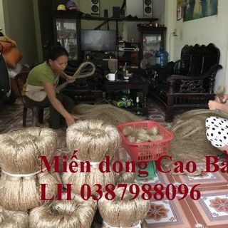 Đặc sản Miến dong Cao Bằng nhà tự làm không chất bảo quản cam kết