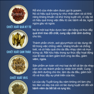 DẦU XẢ PHỤC HỒI TÓC HƯ TỔN EOYUMI ORIENTAL HERB TREATMENT