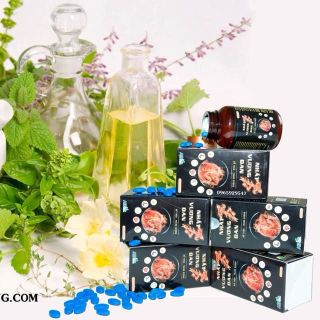 Thuốc bổ thận tráng dương Nhất Vương Đan
