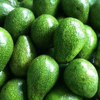 Bơ các loại sỉ lẻ sll
