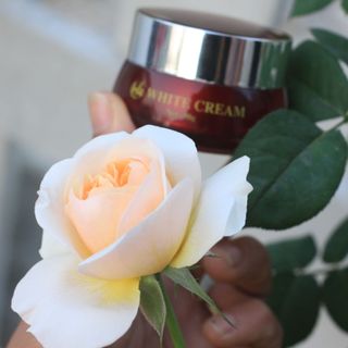 HH WHITE CREAM GĐKD Diệu Trang