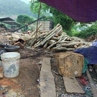 Than củi giá rẻ từ 5000đ/1kg