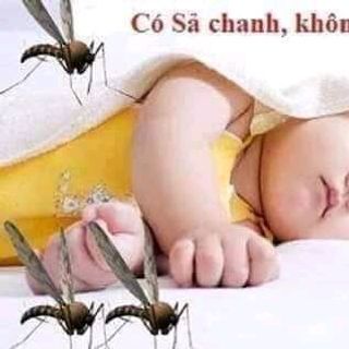 KEM XUA MUỖI