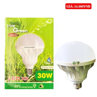 Led bầu nhôm Eurosuper